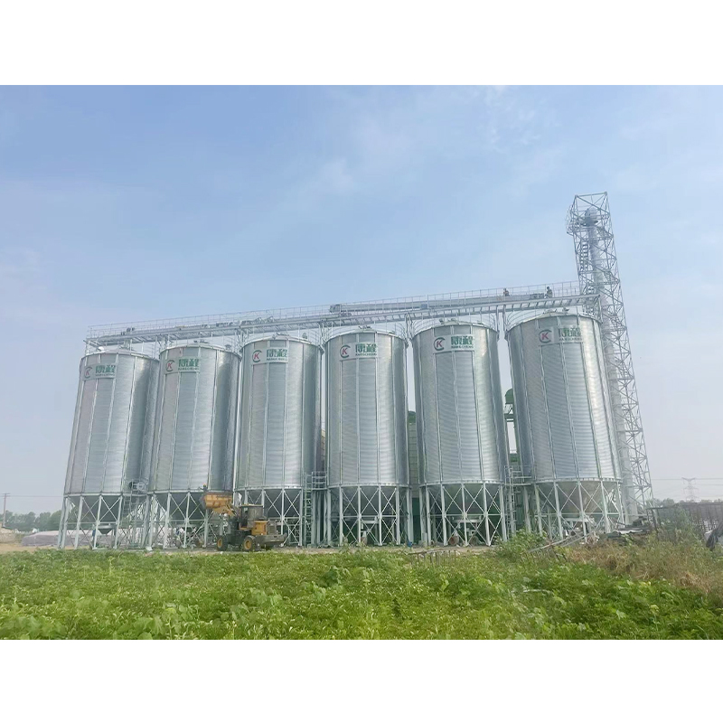 Grain Storage Warehouse/Steel Silo Customization