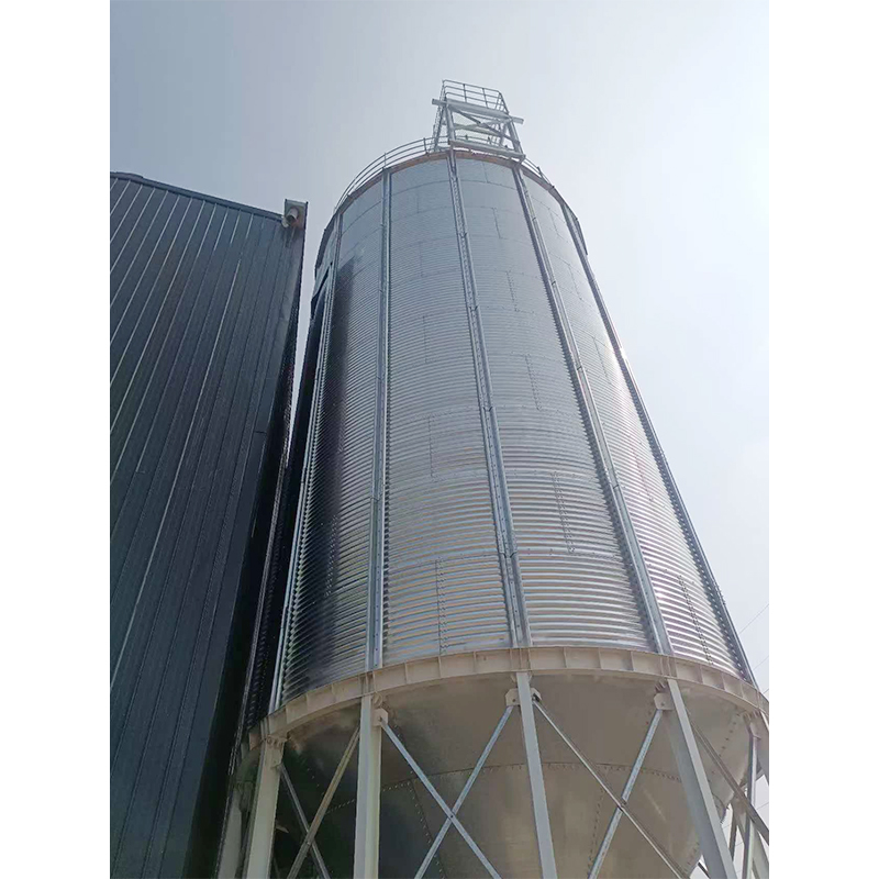Grain Storage Warehouse/Steel Silo Customization