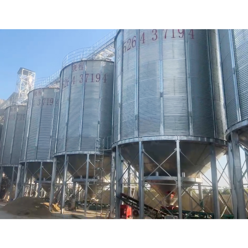 Customized Large Grain Storage Silo/Steel Silo